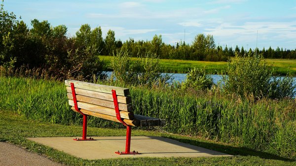 Nutrition et Exercices Physiques durant la Grossesse: Guide Complet pour une Maternité Épanouie